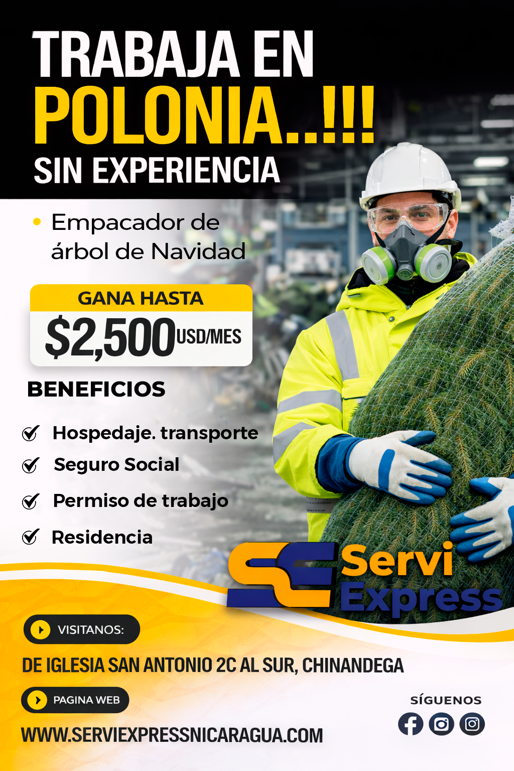 Galería Empacador de arbol de navidad